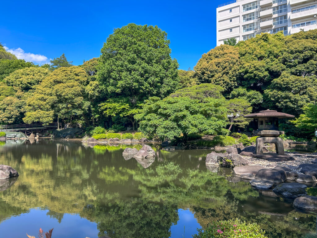 旧古河庭園_84