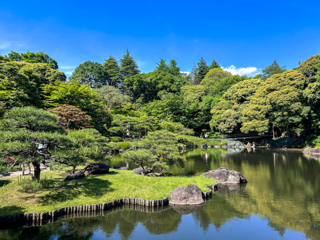 旧古河庭園_85