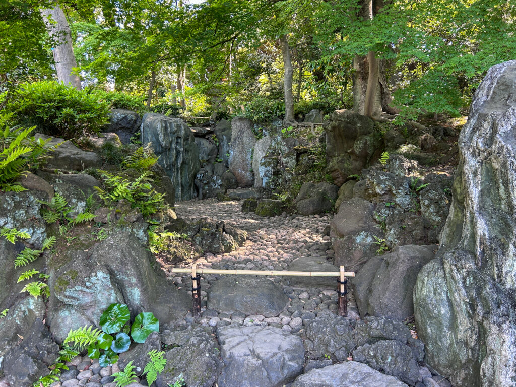 旧古河庭園_87