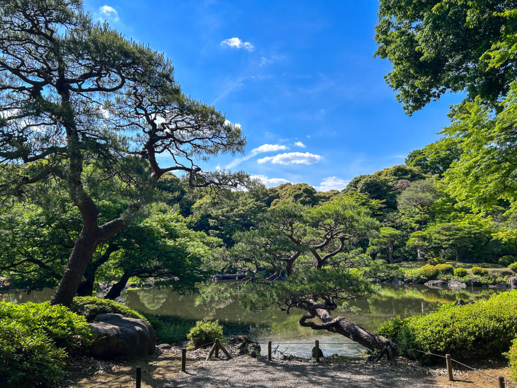 旧古河庭園_91