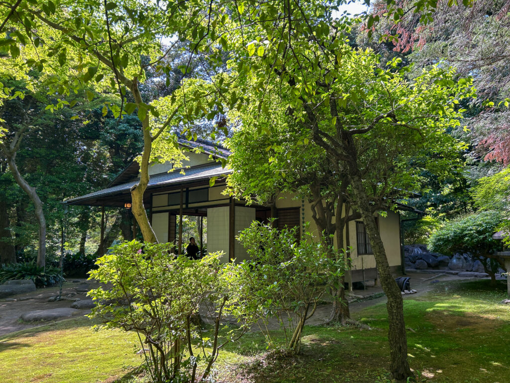 旧古河庭園_93