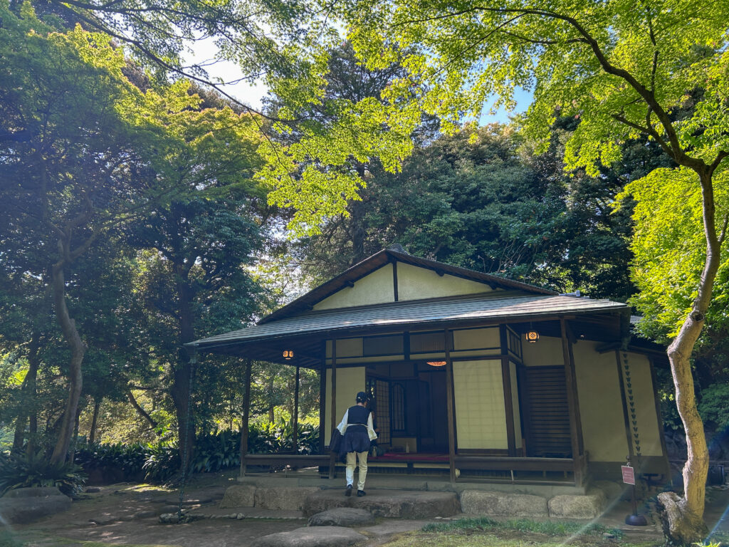 旧古河庭園_94