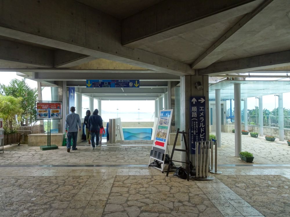 沖縄美ら海水族館_67