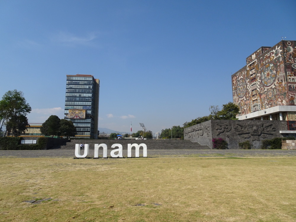 UNAM中央図書館17