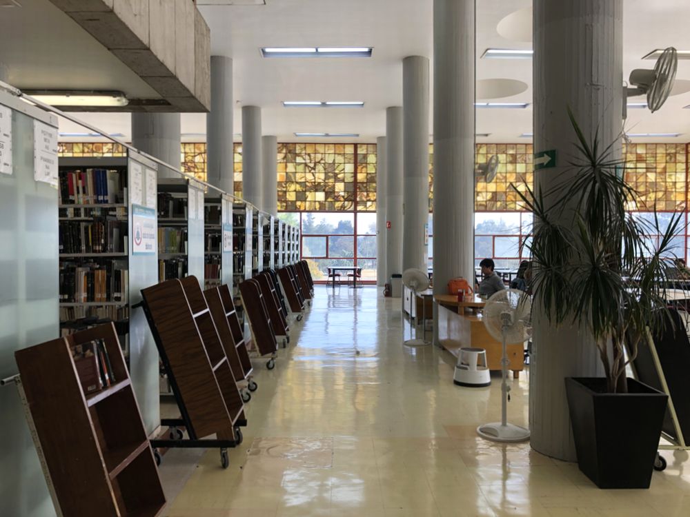 UNAM中央図書館41