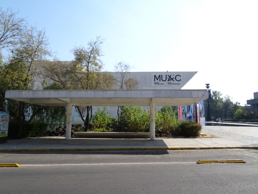 UNAM現代美術館2