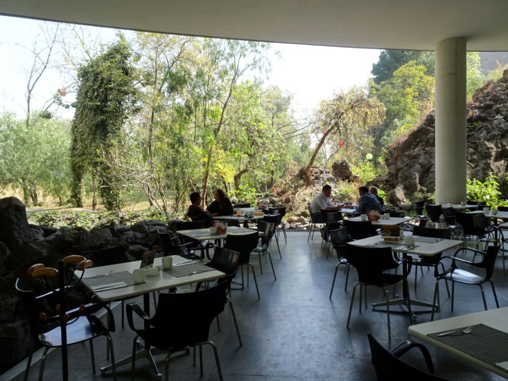 UNAM現代美術館37