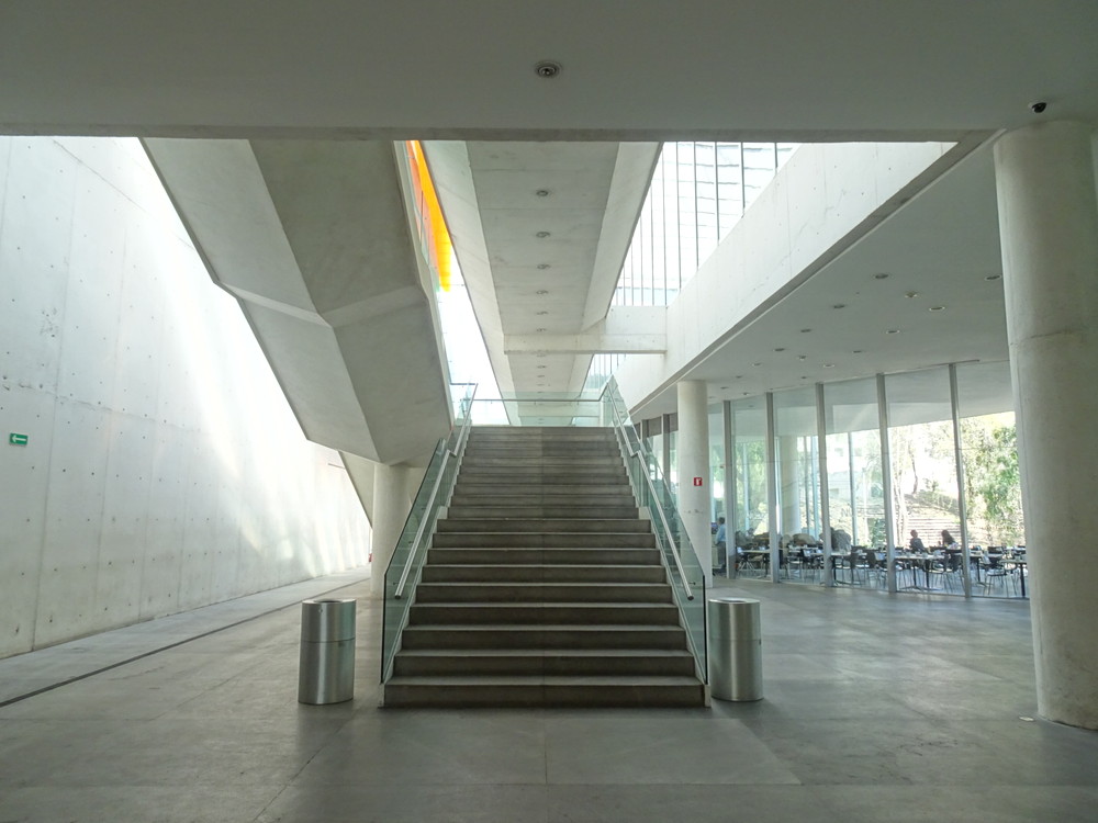 UNAM現代美術館40