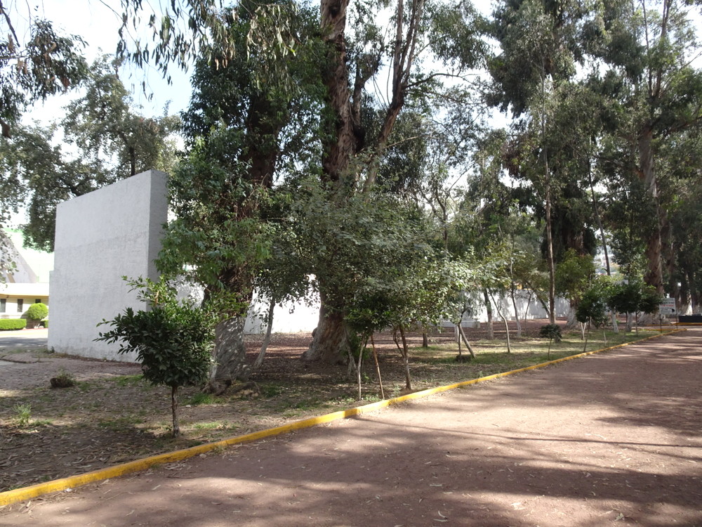 ロス・ベベデロス公園21