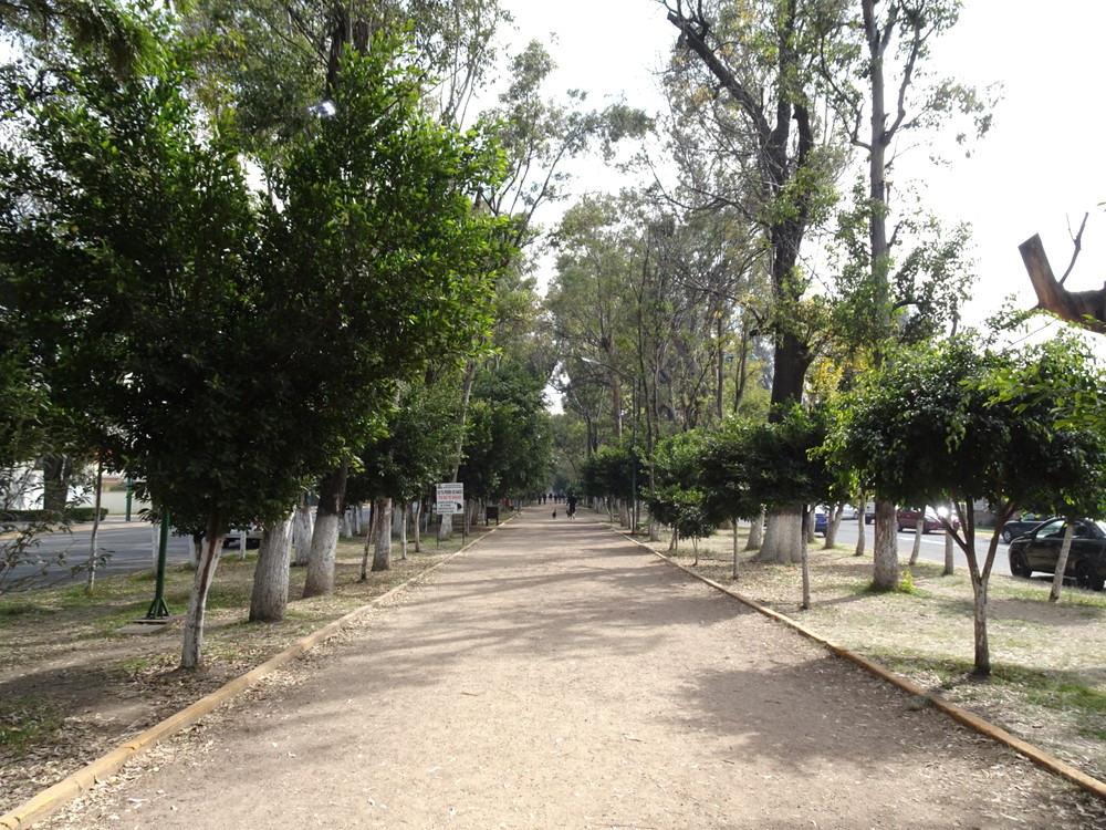 ロス・ベベデロス公園3