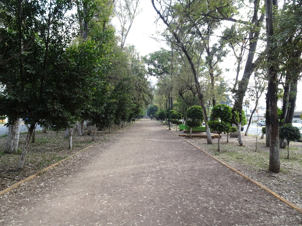 ロス・ベベデロス公園4