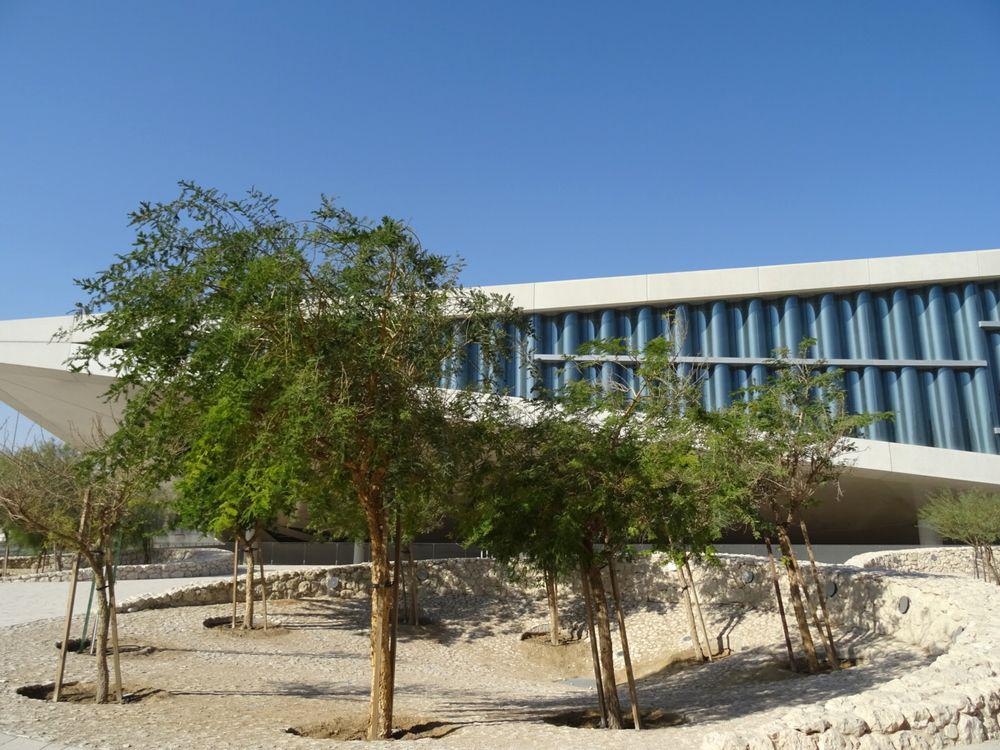 カタール国立図書館13